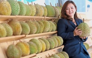 Musang King Durian