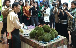 Musang King Durian